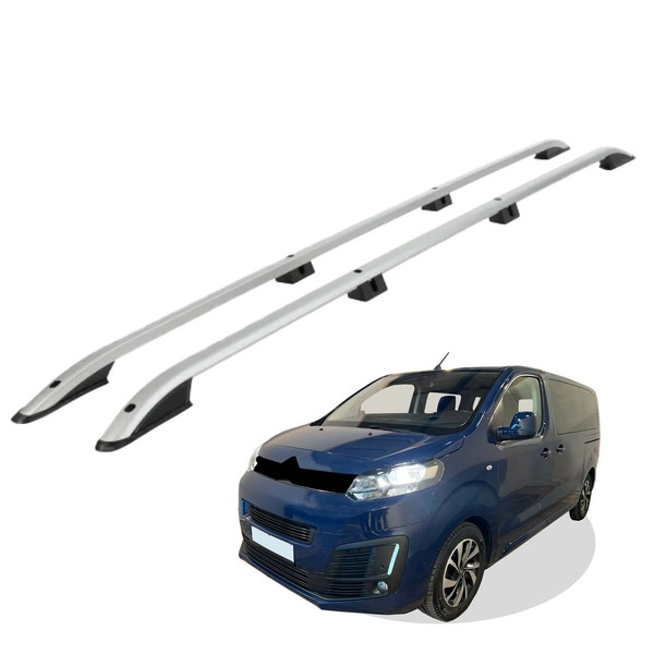 Dachreling Passend FüR Citroen Spacetourer L3 Lang FlüGeltüRen Ab 2016 (Grau) Mi-image