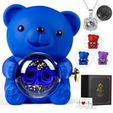 Valentines Day Gift Rose Bear Teddy with Necklace Gift Box for Her Blue New
