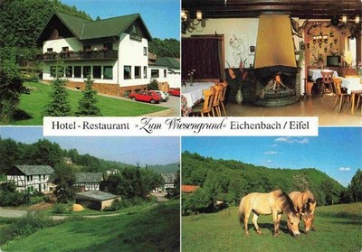 Eichenbach Eifel Ahrweiler Rhineland-Palatinate hotel restaurant zum Wiesengrund Kami