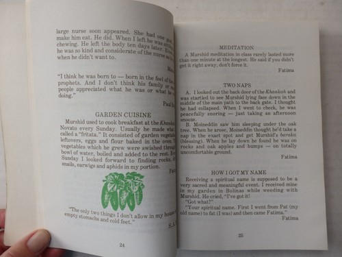 The Garden Book by Sufi Ahmed Murad Vintage 1975 Softcover Rare Hard to Find - Picture 7 of 8