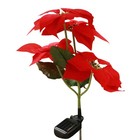  Solar Simulation Lights Outdoor Garden Stake Flower Lawn Decorations