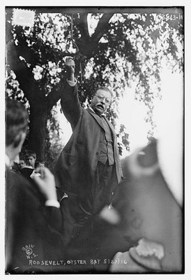 Photo:Oyster Bay NY Theodore Roosevelt 1916 Speech Outdoor Crowd