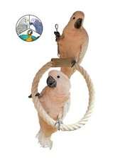 Papageienspielzeug Vogelspielzeug Ring Schauk...