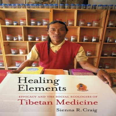Healing Elements Sienna R. Craig Paperback University of Californ