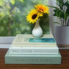 Decorative Faux Books Set of 3, Coffee Table Shelf Décor, Photo Keepsake Box