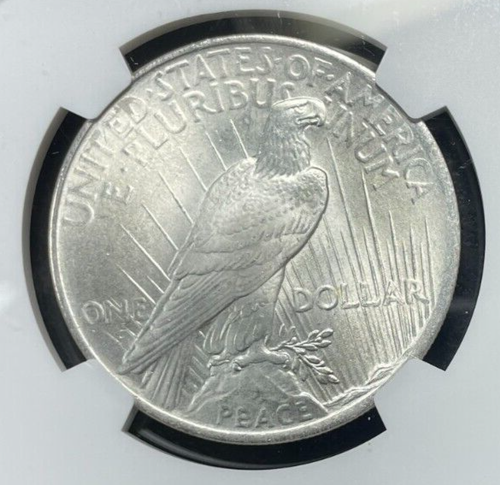1924 DOLLARO ARGENTO PACE~NGC MS 64 ~BELLA MONETA~ REF#08-001 - Foto 2 di 4