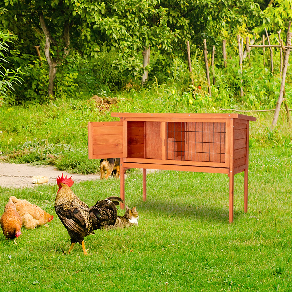 Chicken Ramp Wooden Chicken Coop For 1-2 Chickens - Expandable Run With ...