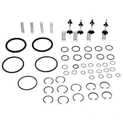 S.42009 Valve & O-Ring Kit, 830997M91 Fits Massey Ferguson