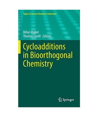 Cycloadditions in Bioorthogonal Chemistry