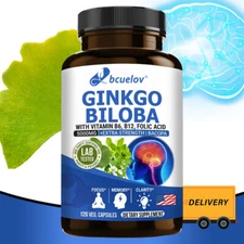 Ginkgo Biloba Extract Supplement,Cardiovascular And Brain Health Support