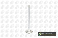 BGA Auslassventil V165051 FüR Alfa Romeo Chevrolet Passend FüR Fiat Lancia