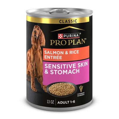 Sensitive Skin and Stomach Dog Food Wet Classic Pate Salmon and Rice Entrée