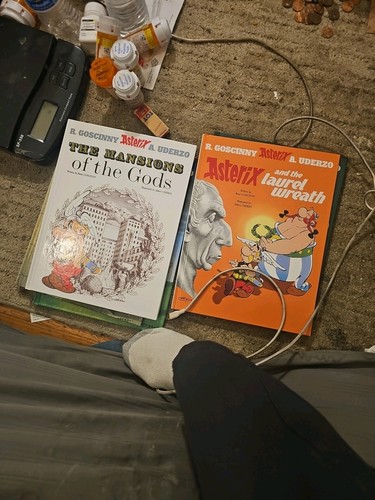 Asterix The Gaul Books 1 Thru 33 Hardback - Foto 15 di 16