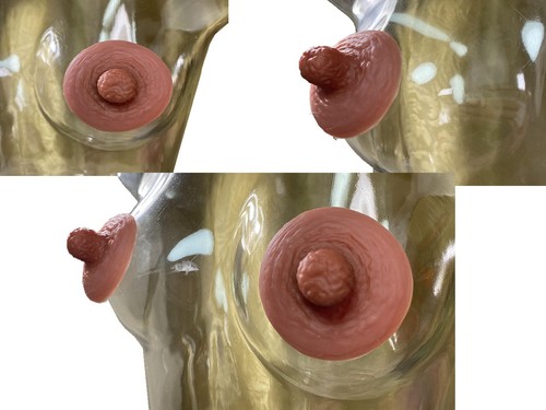 BIMEI Adhesive Silicone Nipple Reusable for BreastForm Drag Queen Transgender,#9 - Picture 27 of 31