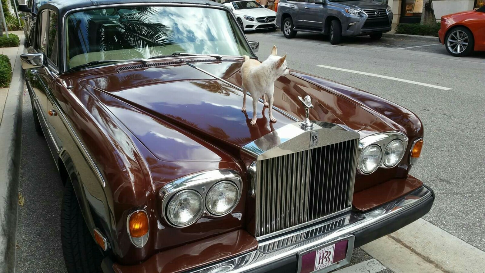 ROLLS ROYCE  BRAKE ACCUMULATOR REBUILD SERVICE ☆I REBUILD "YOUR" SPHERE ONLY☆