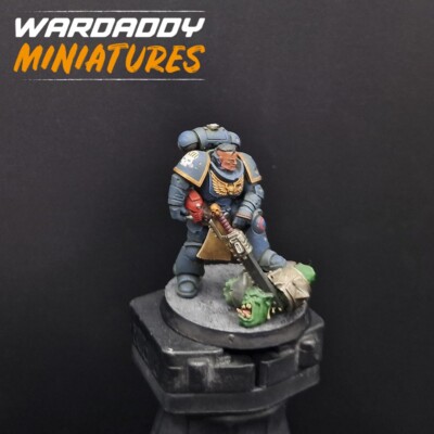 Pro Painted Warhammer 40k OOP Ultramarines Primaris Sgt Jovan Games workshop 