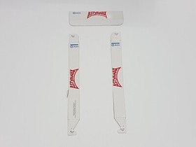 Astyanax Nintendo NES Rental Cut Box ONLY *DAMAGED