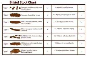 Stool Chart Images