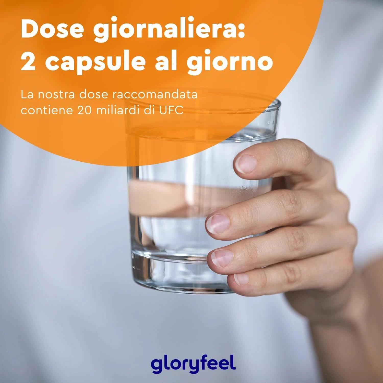 Foto 6 di 6