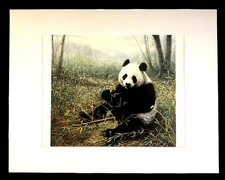 Charles Frace'  "CHINESE TREASURE" 11 x 14 Matted Panda Wildlife Print