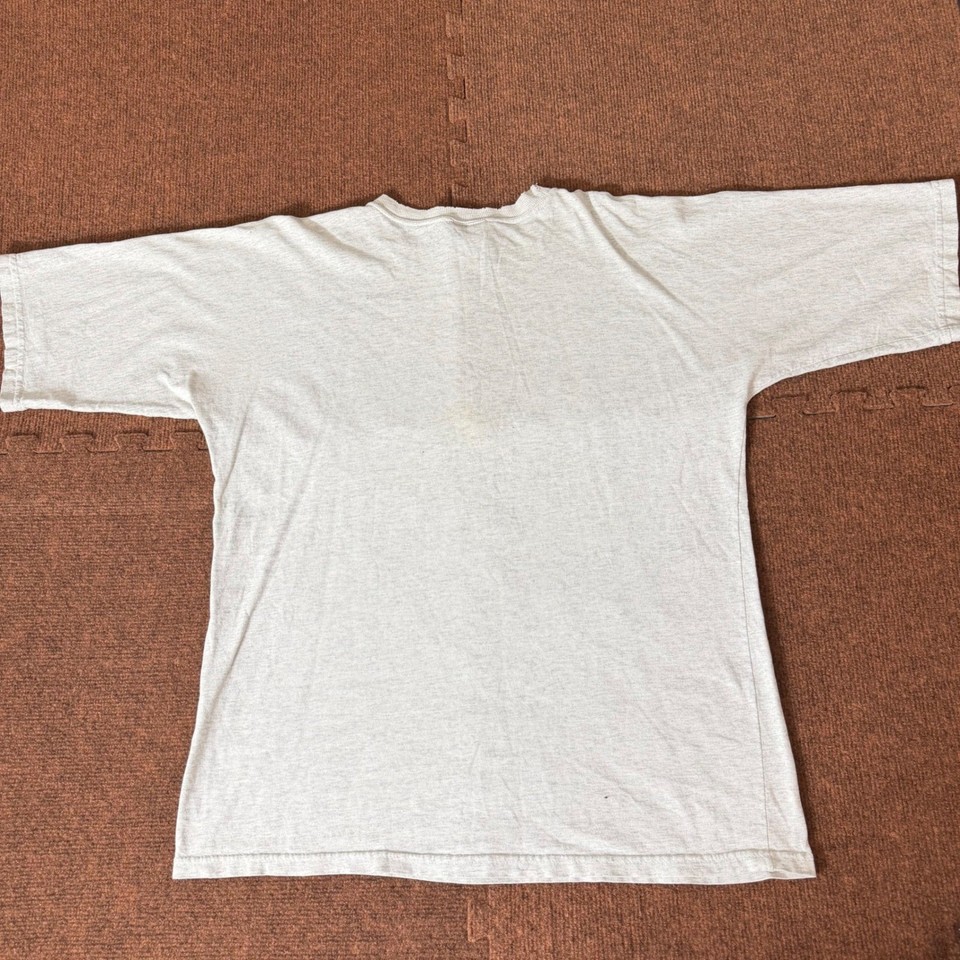 Vintage 1994 Detroit Lions Snoopy T-Shirt Garment Graphics Peanuts ...