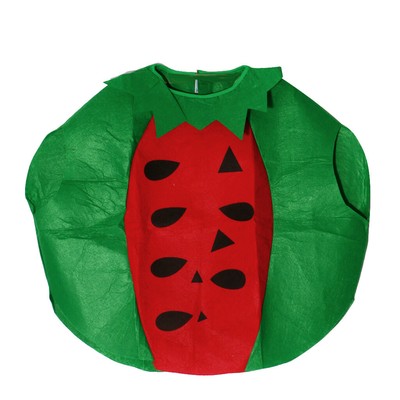 Wassermelone Kostüm Für Erwachsene – Unisex, One Size, Mit Hut, 74x89 Cm