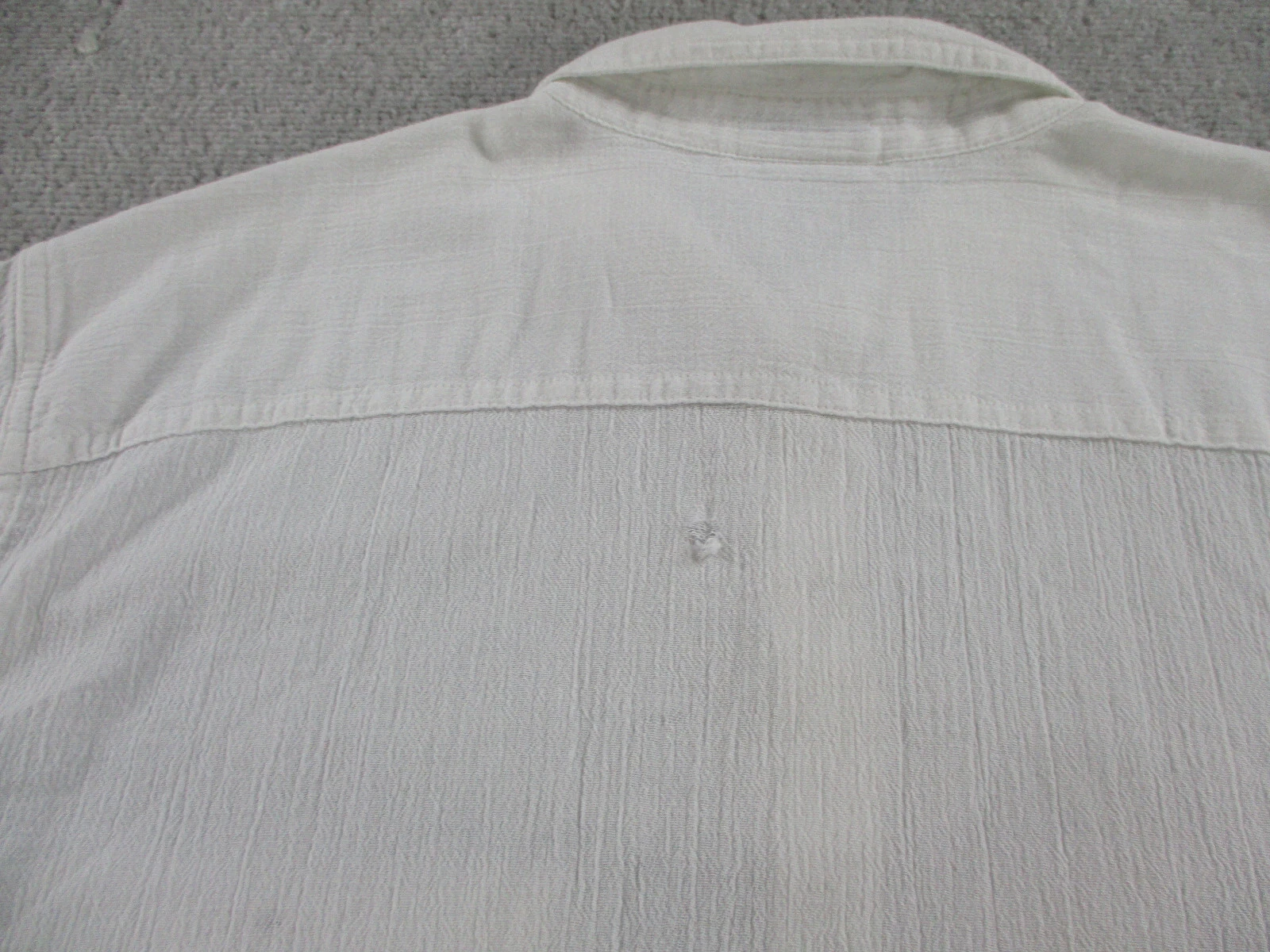 patagonia a/c button up organic cotton short sleeve woven shirt