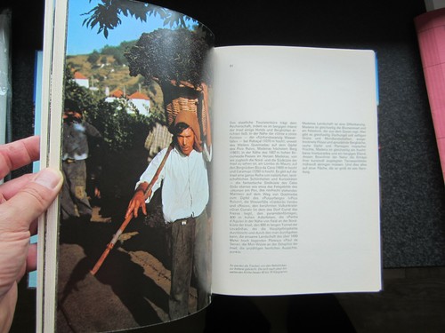Madeira - Sammelbilderalbum Gloria / L. Irmes & P.E. Grimm (komplett) Portugal - Bild 7 von 10
