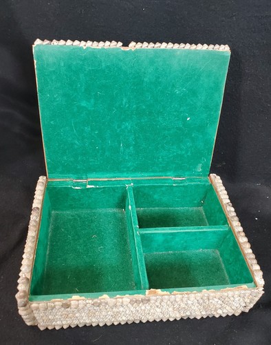 Vintage Contemporary Sailor Shell Art Conch and Cowrie Seashell Jewelry Box - Picture 3 of 11