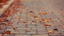 Landscape pavements leaves fall depth of field Custom Gaming Mat Desk