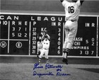 RED SOX RICO PETRTOCELLI AUTOGRAPH 8X10 PHOTO 1967 LAST OUT MPOSSIBLE DREAM TEAM