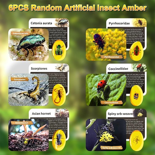 Set Scavo Ambra per Bambini da 6 7 8 9 10-12 Anni Insetto Artificiale... - Foto 7 di 13