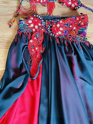 Bella Bellydance Costume: Unique color and shine! | eBay