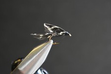 1 Fly, Beauty Wet Fly for Fly Fishing, You Choose Size