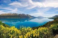 Landscape nature lake yellow wildflowers turquoise water Custom Gaming Mat Desk