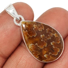 Fossil Sutured Ammonite 925 Sterling Silver Pendant Jewelry CP63617