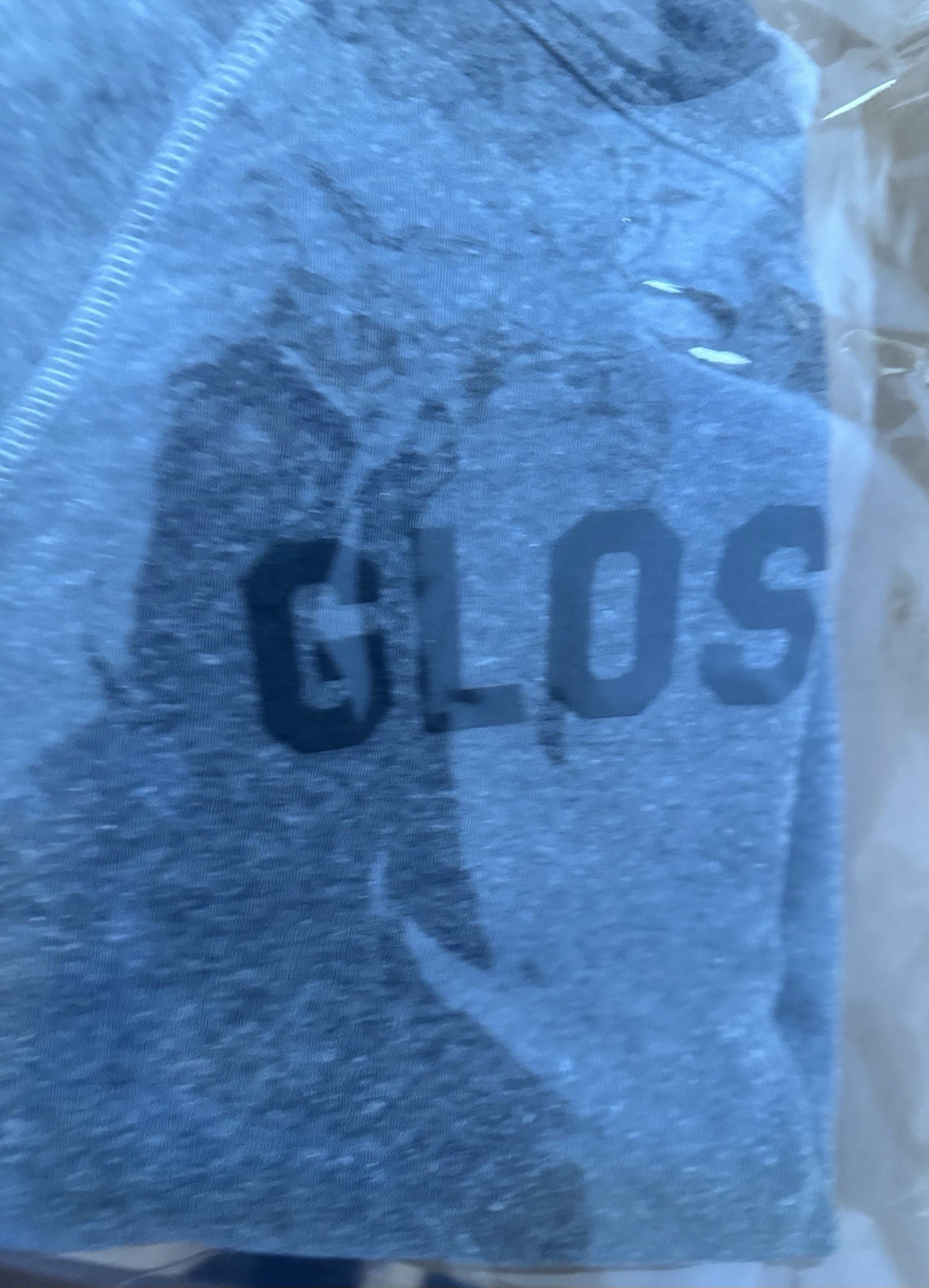 Glossier Sweatshirt Gray Size Small Crew Neck Spell out Limited edition