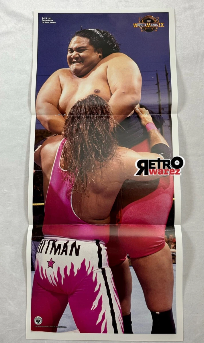Las mejores ofertas en Bret Hart WWE Wrestling carteles | eBay