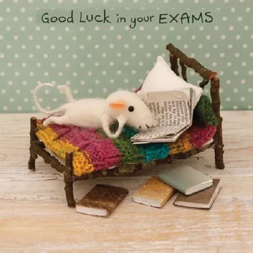 Whimsical cute mouse Good luck exams