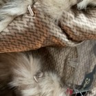 Bild 3 von 5
