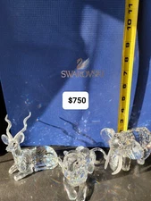 Swarovski SCS Trilogy Inspiration Africa set