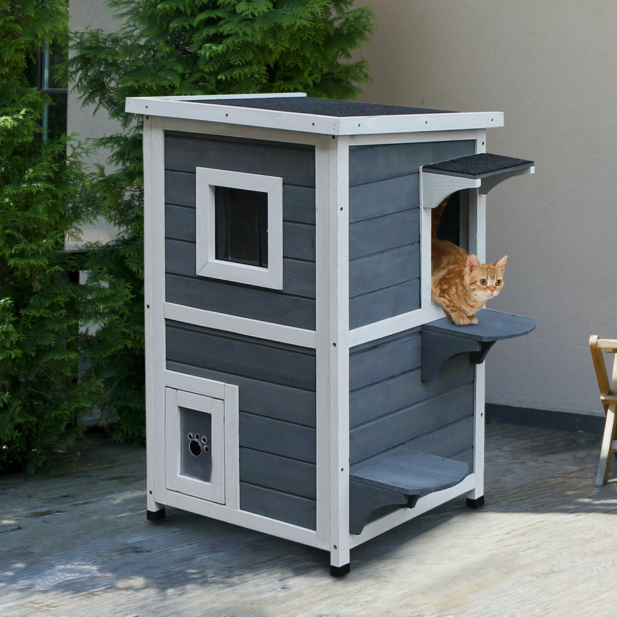 Window cat best sale condo