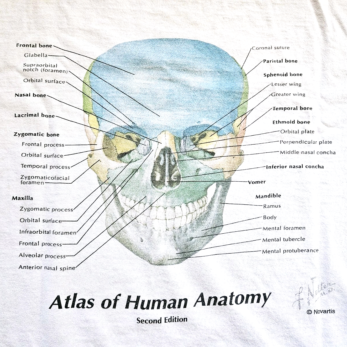Vintage 90s Novartis Pharma Anatomy Skull Art Promo T Shirt XL