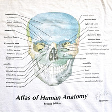 Vintage 90s Novartis Pharma Anatomy Skull Art Promo T Shirt XL Single Stitch