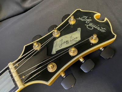 Acoustic Electric Guitar D'Aquisto DQ-JZ-JR NAT Jazz Line Jr