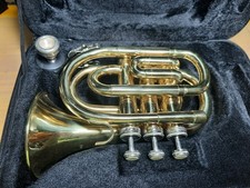 Mini Pocket Tromba Piatto Laccata Ottone Strumento Custodia Sib da studio