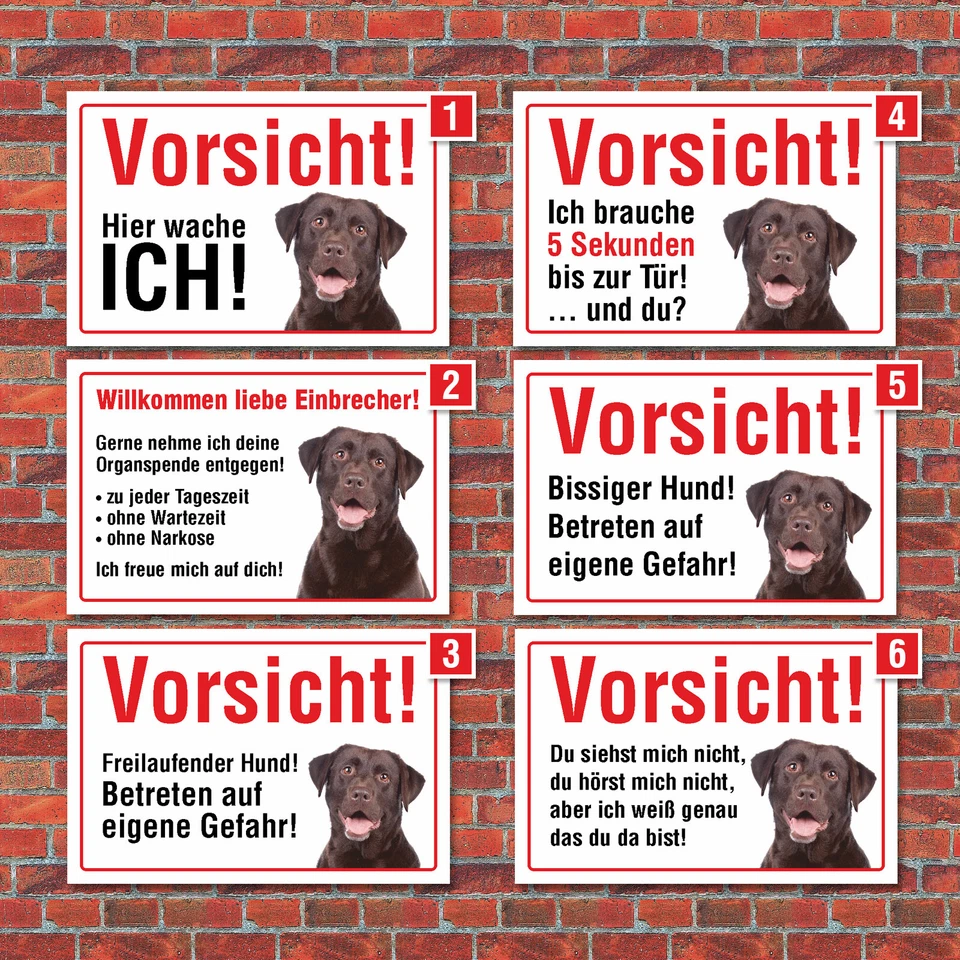 WERBEDEAL24 Vorsicht "Hier wache ich", Labrador, Hund, Schild, 3 mm Alu-Verbund