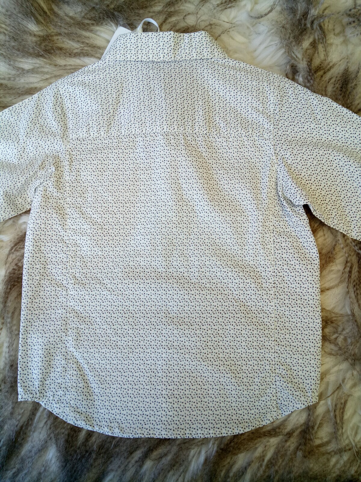 Picture 6 of 6