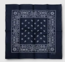 Adult Unisex Paisley Print Bandana Blue Paisley Lot Of 10
