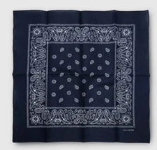 Adult Unisex Paisley Print Bandana Blue Paisley Lot Of 10